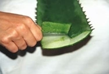succo aloe-7