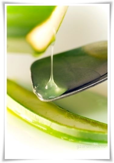 succo aloe-8