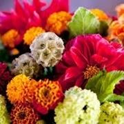 Domanda : fiori per matrimonio