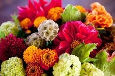 Domanda : fiori per matrimonio