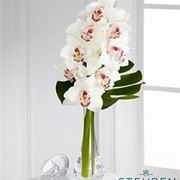 fiori a domicilio Fano