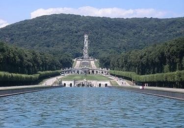fiori Caserta