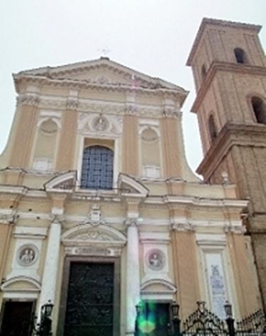 fiori Casoria
