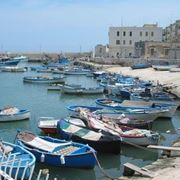 fiori di Bisceglie