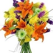 fiori di Pesaro