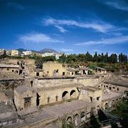 fiori Ercolano