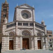 fiori Grosseto