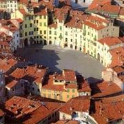 fiori Lucca