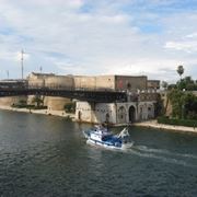 fiori online Taranto