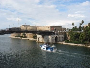 fiori online Taranto