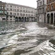 fiori online Venezia
