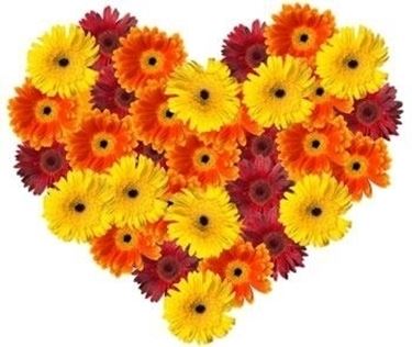 fiori per anniversari-2