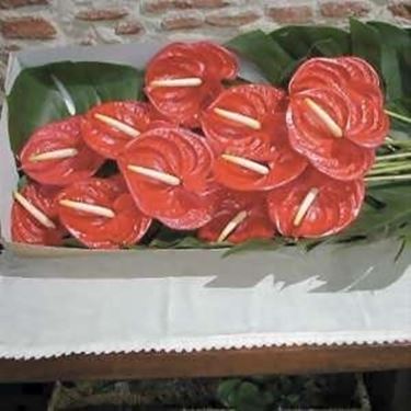 fiori per anniversario-2