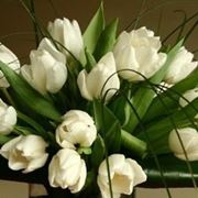 fiori per compleanno