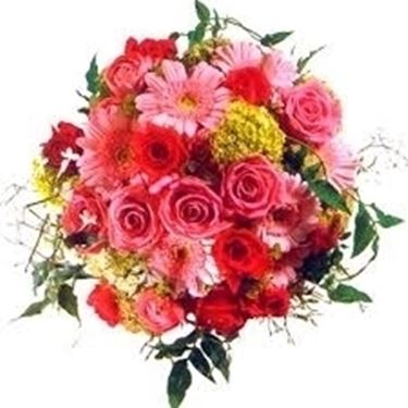 fiori per guarigioni-1