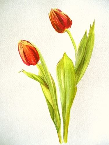 fiori per lei-1