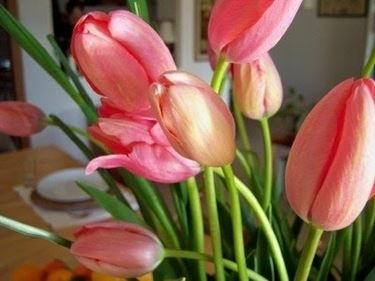 fiori per lui