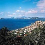 fiori Pozzuoli