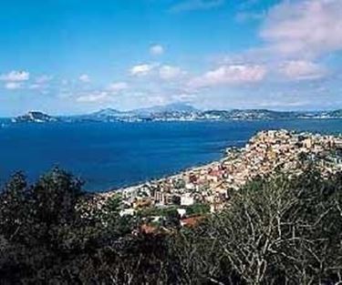 fiori Pozzuoli