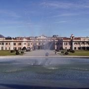 fiori Varese