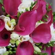 invio fiori per lei-2