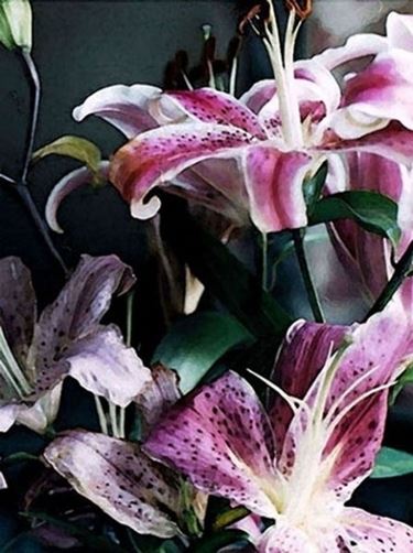 invio fiori per nascita-2