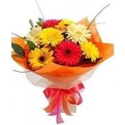 spedizione fiori Messina