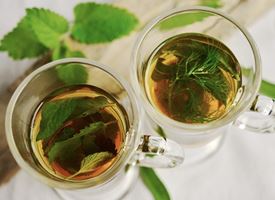 Erboristeria
