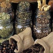 erbe medicinali-2