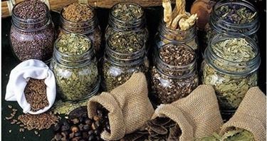 erbe medicinali-2