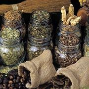 erbe medicinali-4