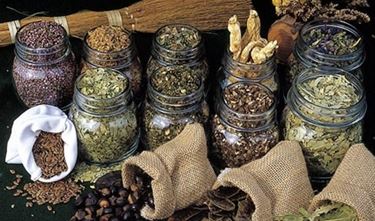 erbe medicinali-4
