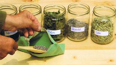 erbe officinali-3