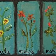 erbe officinali-6