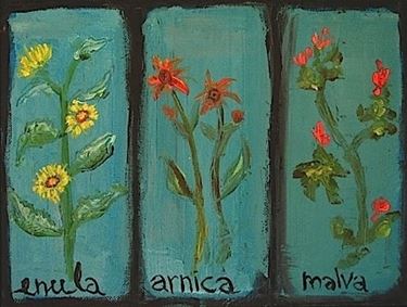 erbe officinali-6