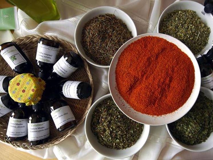 erbe officinali-8