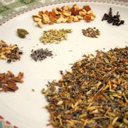 Erbe officinali (Elenco)