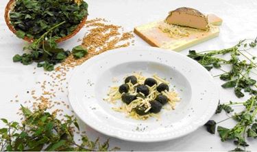 erbe officinali