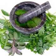 fitoterapia