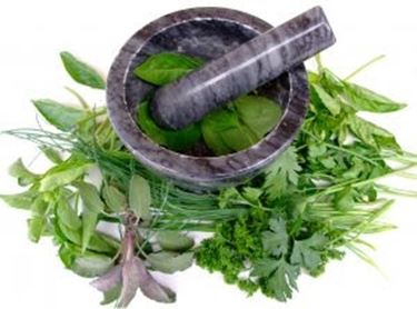 fitoterapia
