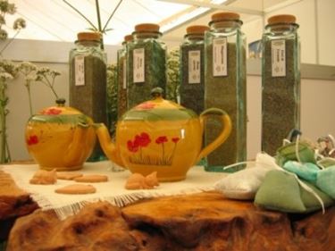 Preparazione delle tisane