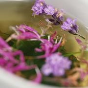 tisane