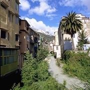 fiori a domicilio Carrara