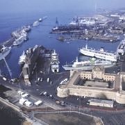 fiori a domicilio Civitavecchia