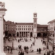 fiori Rovigo