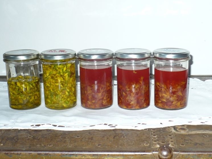 olio iperico-4