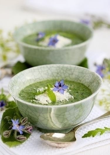 La conservazione della borragine