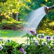 giardinaggio : Annaffiatoio personalizzato 