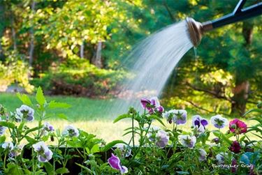 giardinaggio : Annaffiatoio personalizzato 