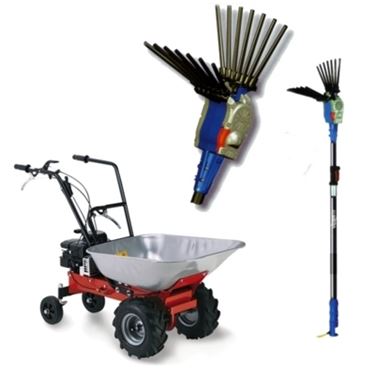 motocarriole-3